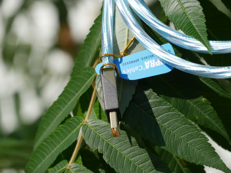 Supra Excalibur USB A Nahaufnahme Supra Excalibur USB A Nahaufnahme