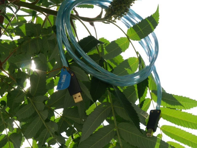 Supra Excalibur USB A-B im Sonnenaufgang Supra Excalibur USB A-B im Sonnenaufgang