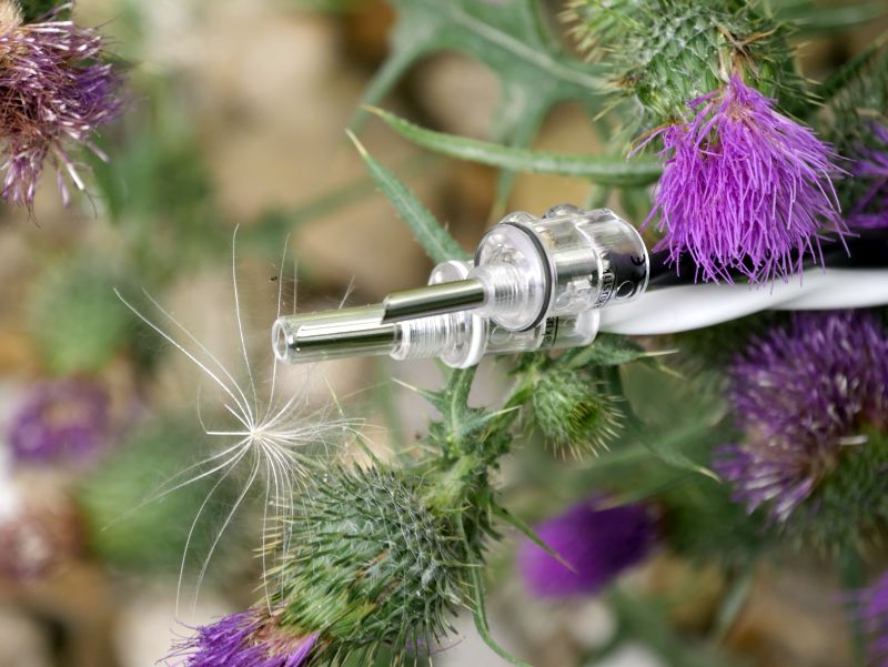 inakustik LS 204 micro air BFA Bananas