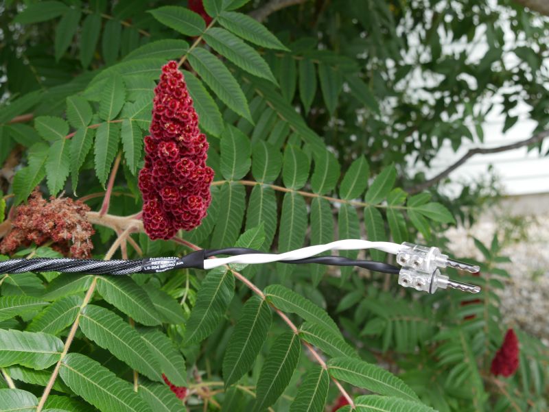 inakustik LS 204 micro air Lautsprecherseite