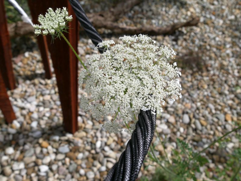 inakustik LS 404 micro air 8 Kabelbündel