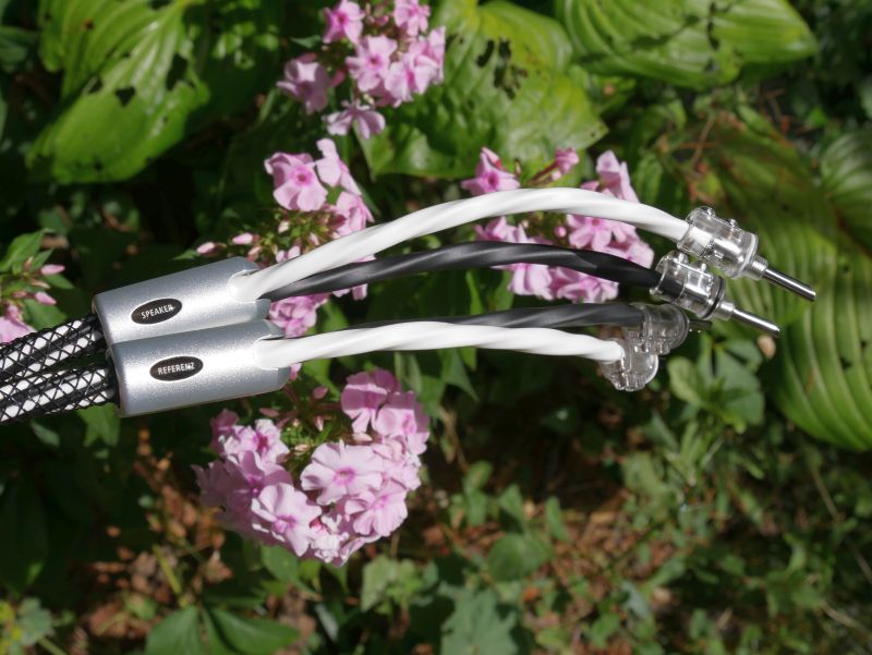 inakustik LS803 referenz