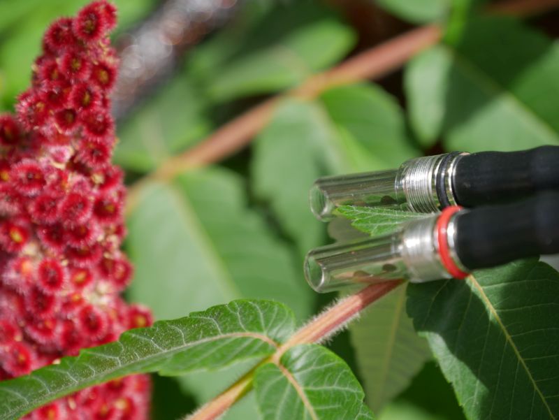 inakustik ls1204 Air Bananas